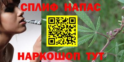 гидра Пушкино