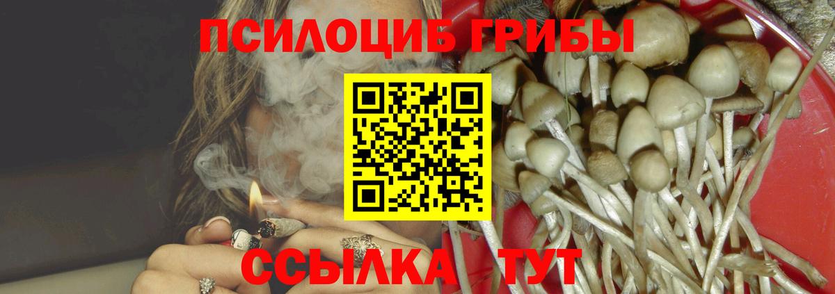 Галлюциногенные грибы мицелий  Вход с VPN  Новотроицк 